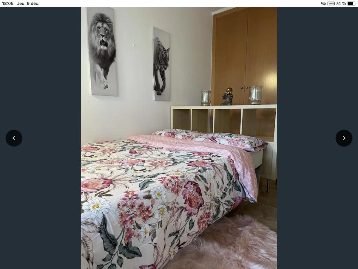 Appartement Golf Panoramica San Jorge  Dış mekan fotoğraf